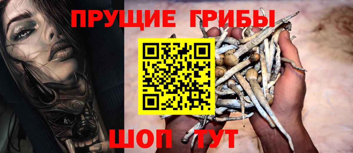 Псилоцибиновые грибы мицелий Новый Уренгой